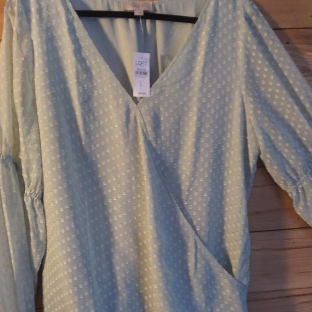 LOFT Sheer Chiffon Blouse